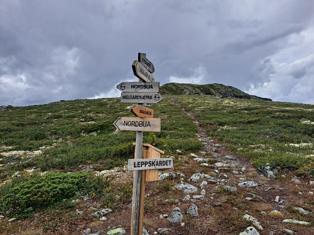 I Leppskardet, mot Leppskardhøgda
