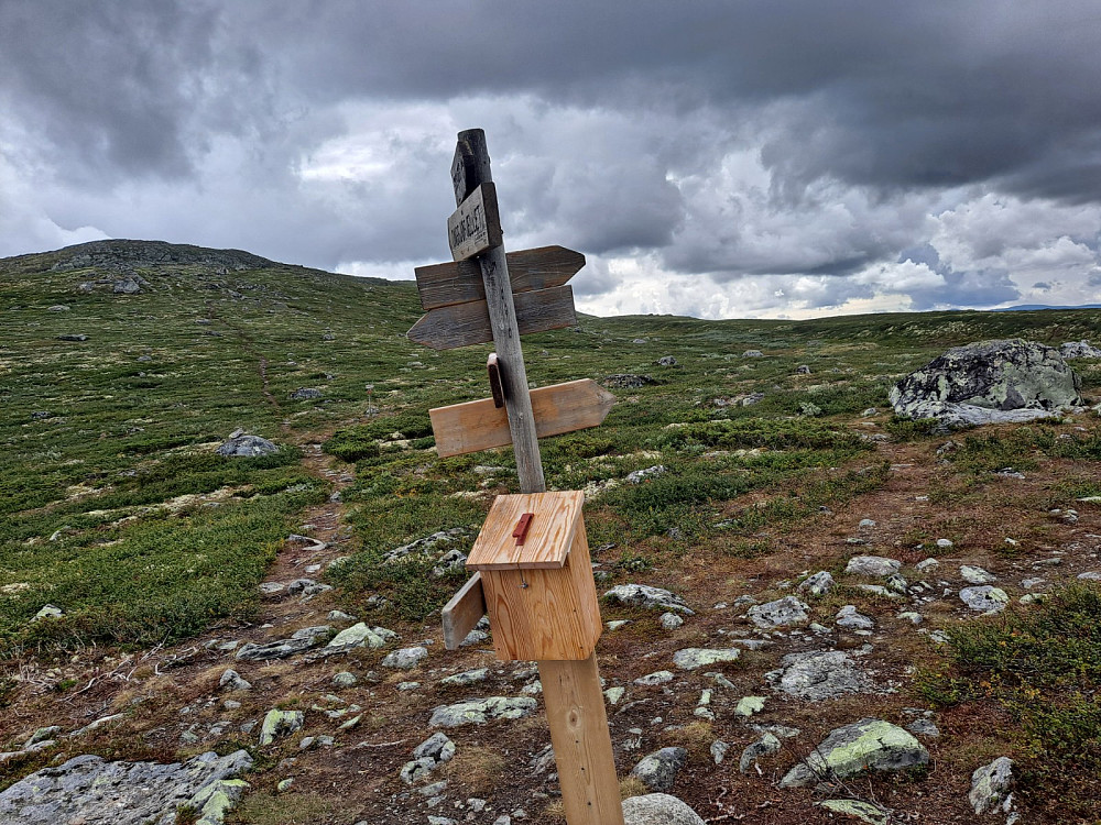 I Leppskardet, mot Ongsjøfjellet
