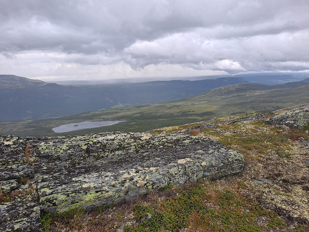 På Leppskardhøgda