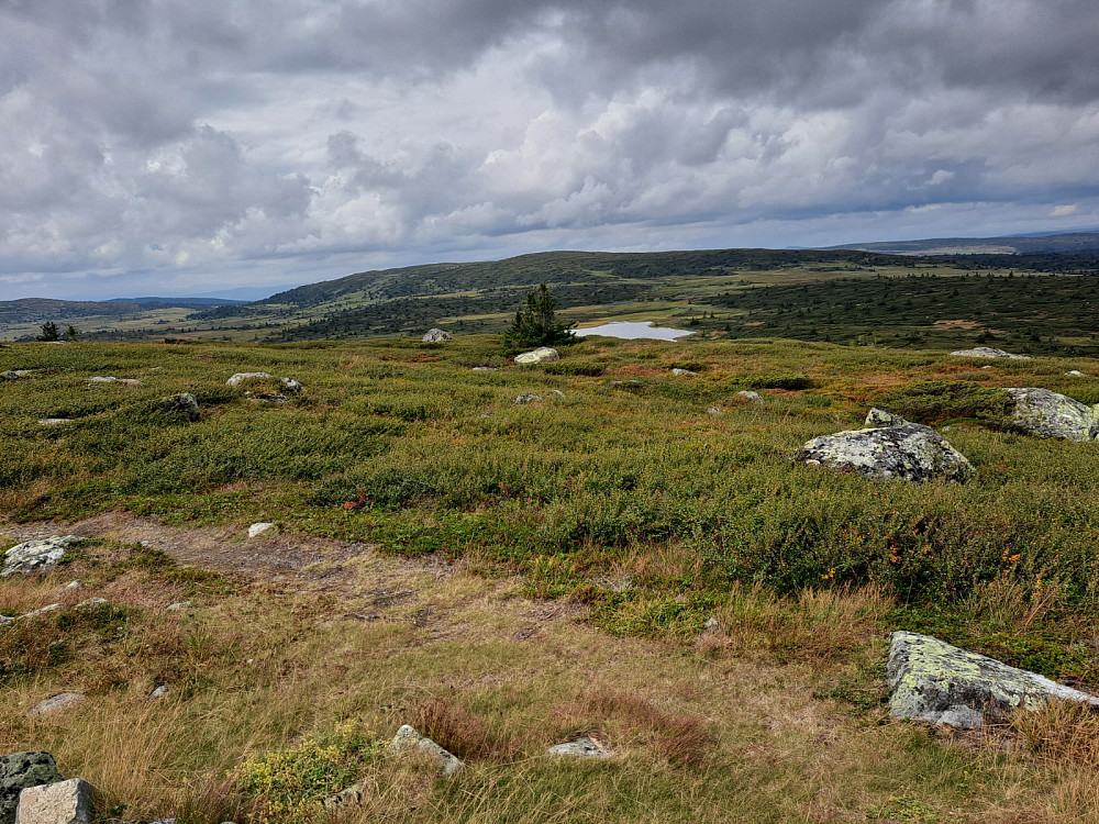 Mot Hitfjell