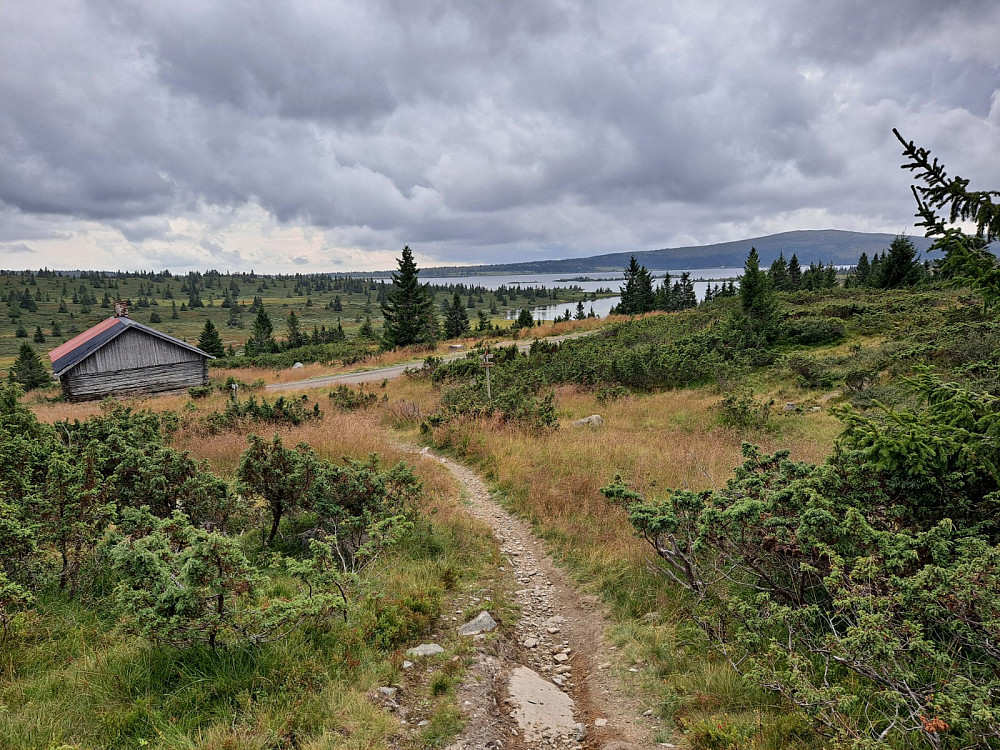 Tilbake på Indre Reina
