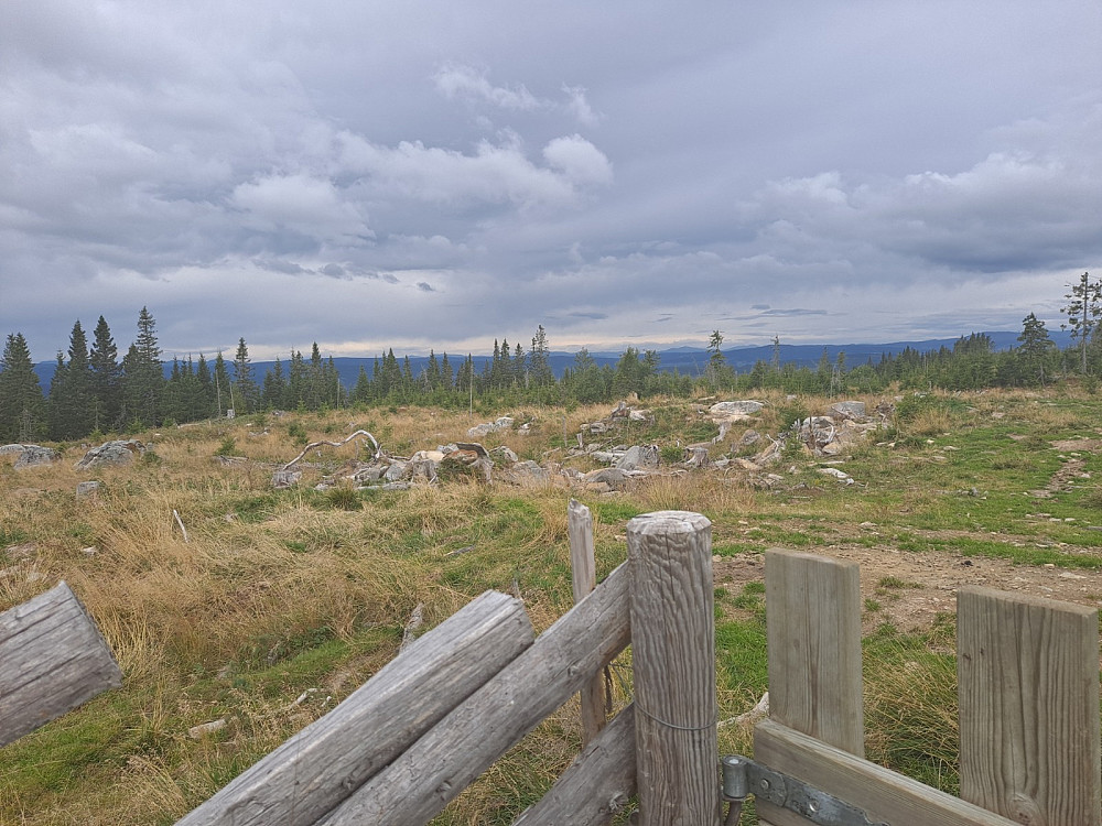 På Landskampen