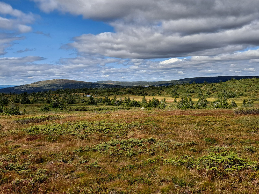 På Lunkefjell vest