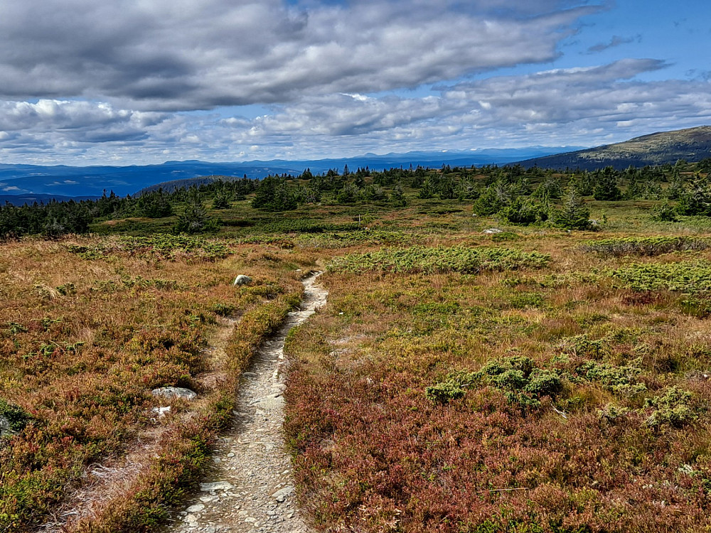 På Lunkefjell vest