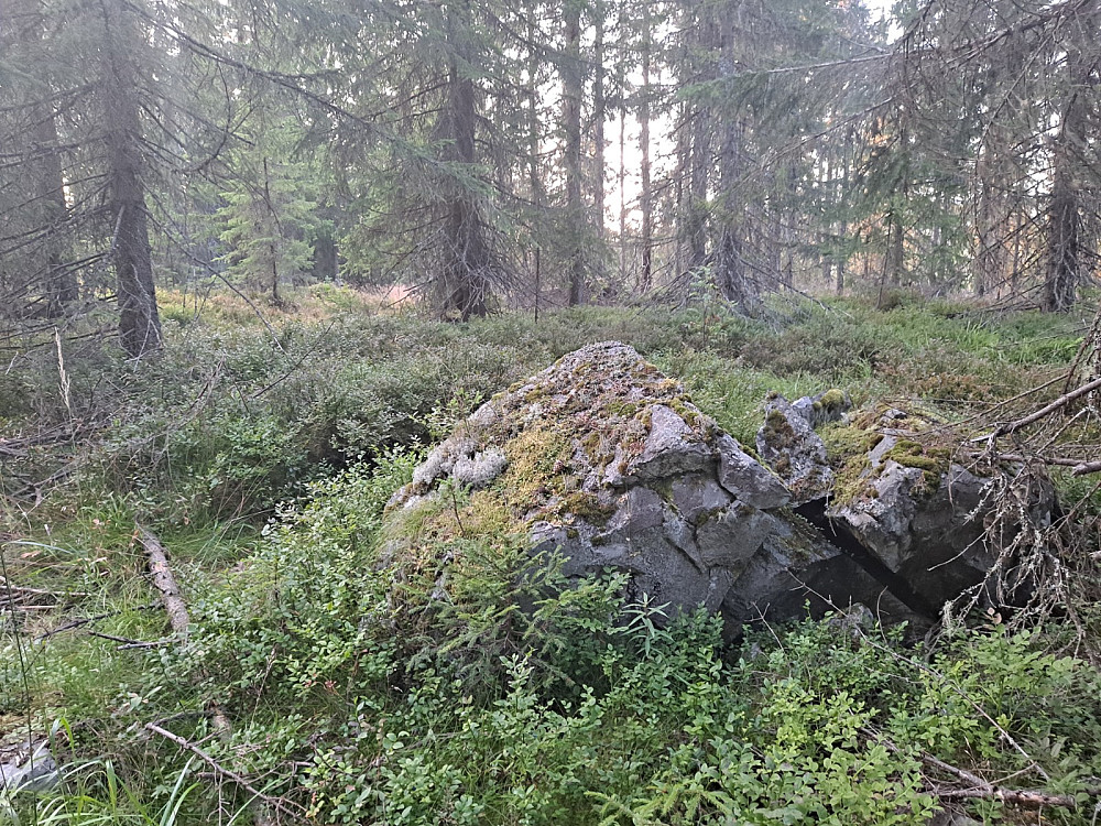 På Kanthaugen