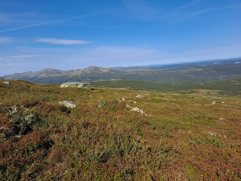 Jentfjellet er lite foran Gråhøene