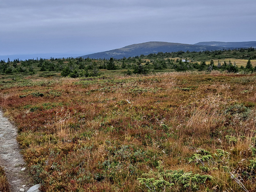 På Lunkefjell vest