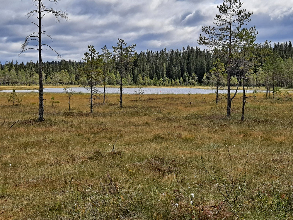 Vakkert ved Røyslitjernet