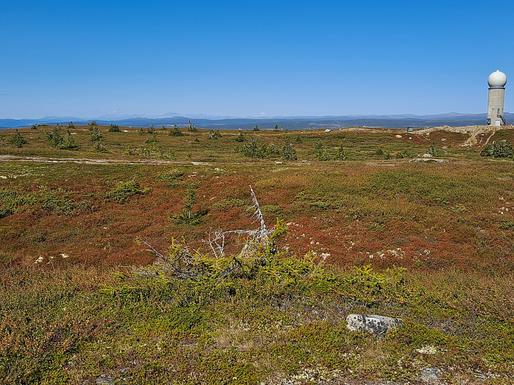 På toppunktet på Hafjell