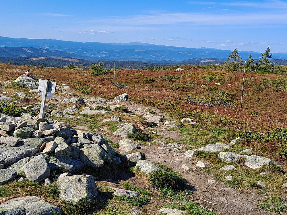 På Mostfjellet, Synnfjellet i det fjerne