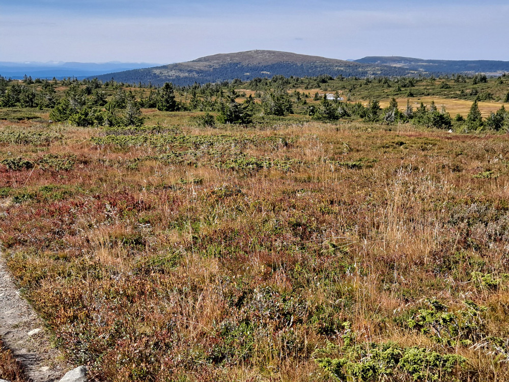 På Lunkefjell vest