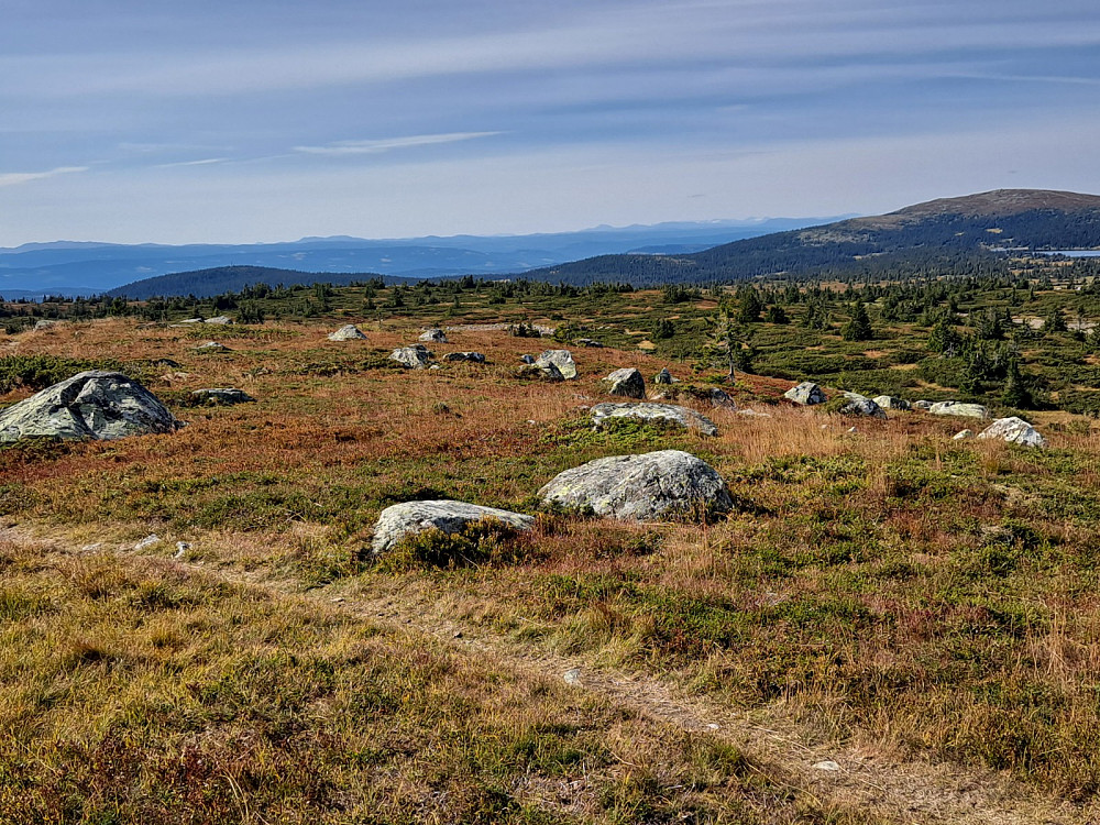 På Høgfjellet