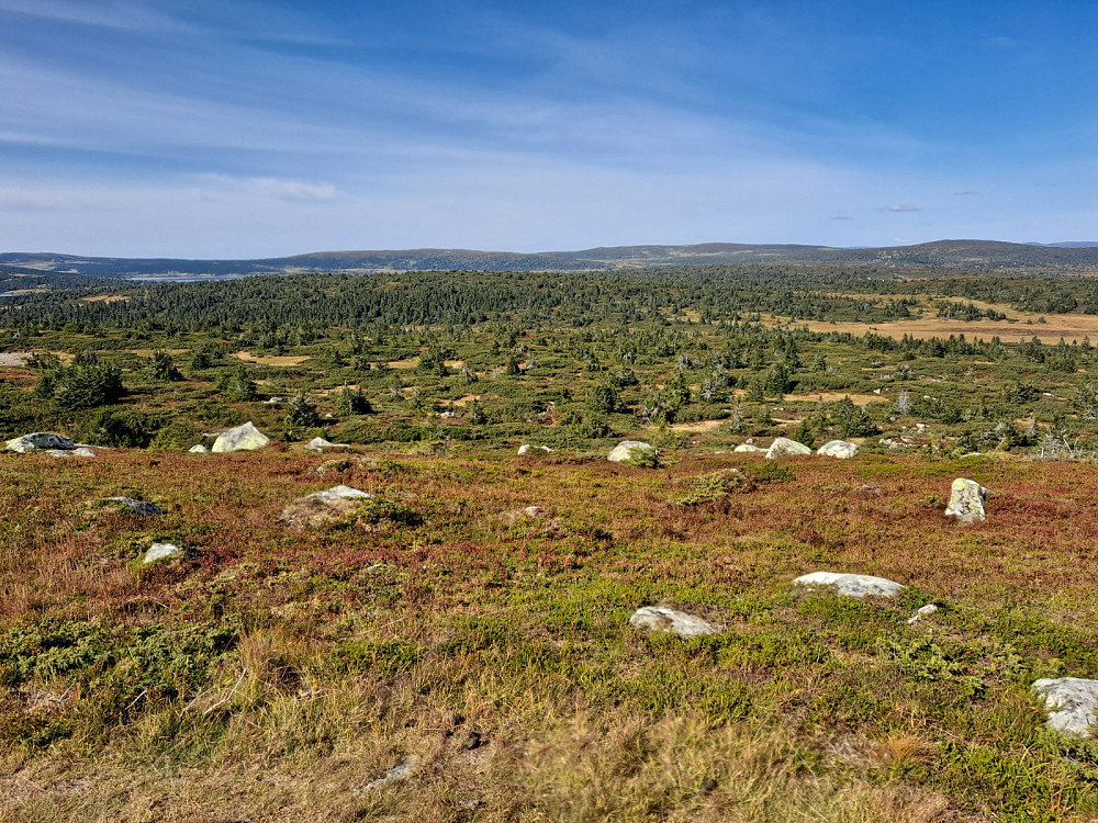 På Høgfjellet