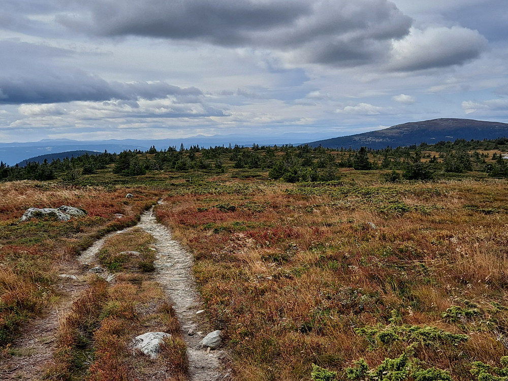 På Lunkefjell vest