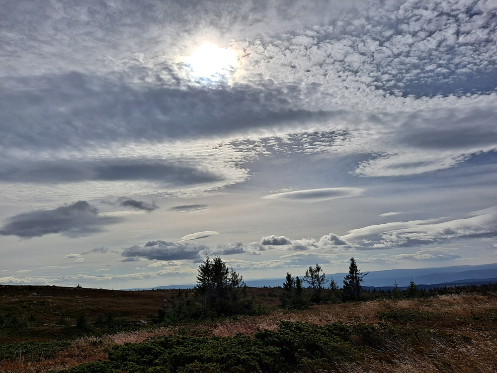 På Lunkefjell vest