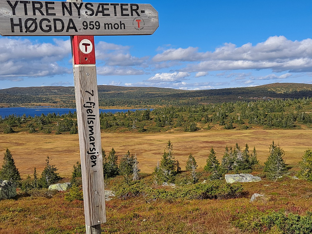 På Ytre Nyseterhøgda
