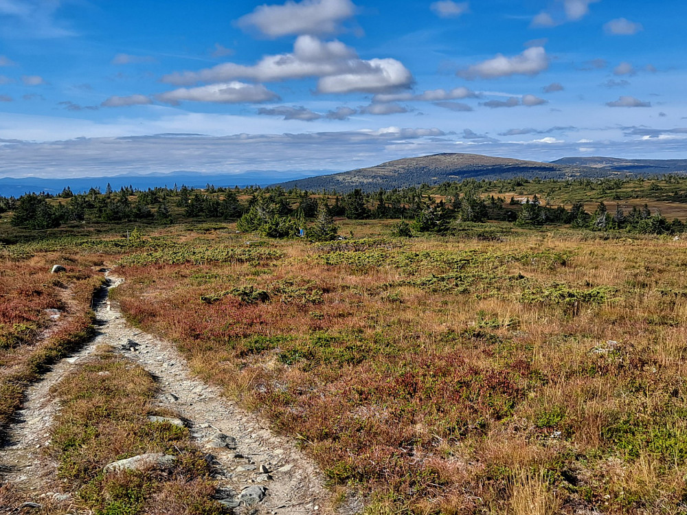 På Lunkefjell vest