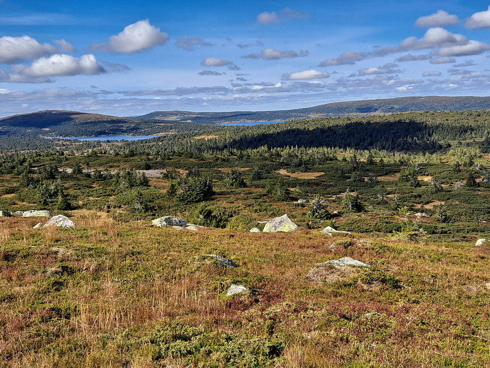 På Høgfjellet