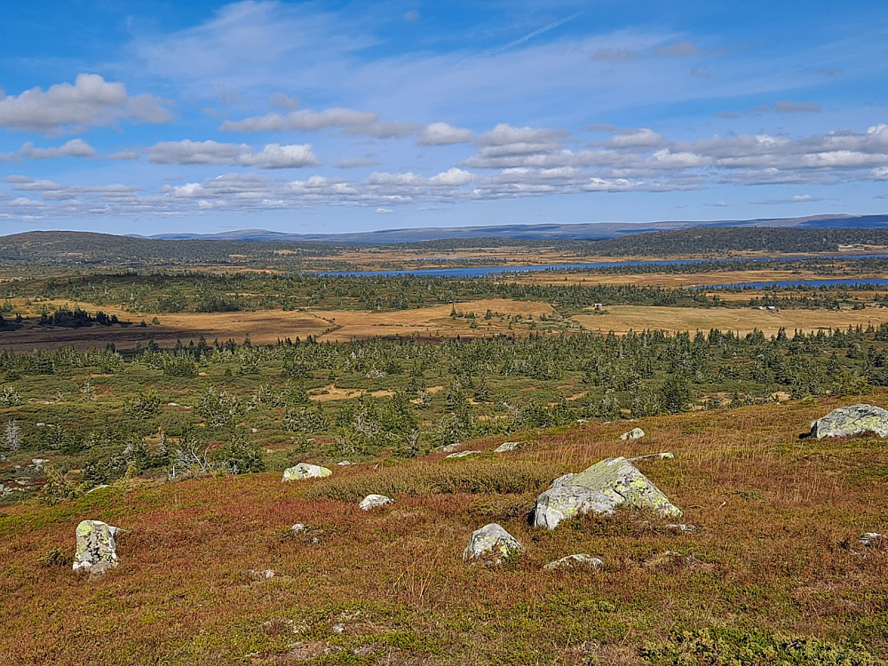 På Høgfjellet