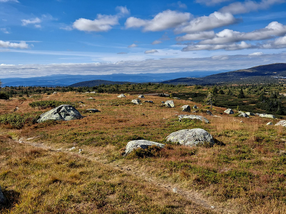 På Høgfjellet