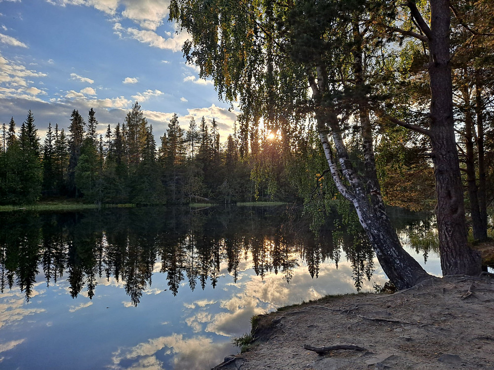 Ved Krokbua