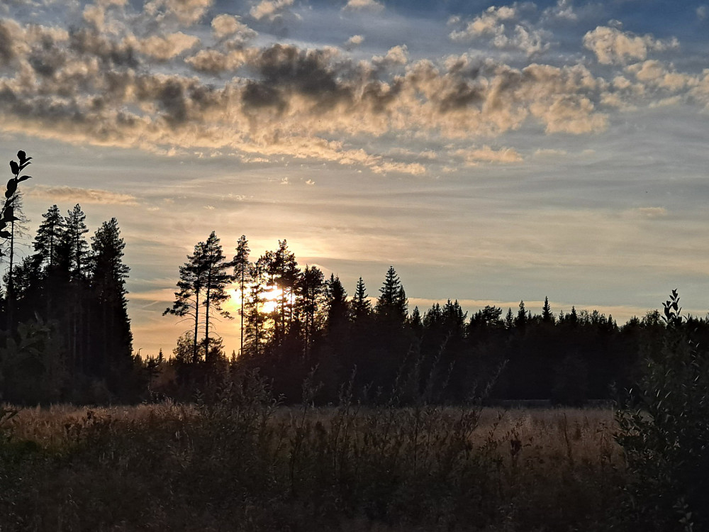 Ved Kanalen
