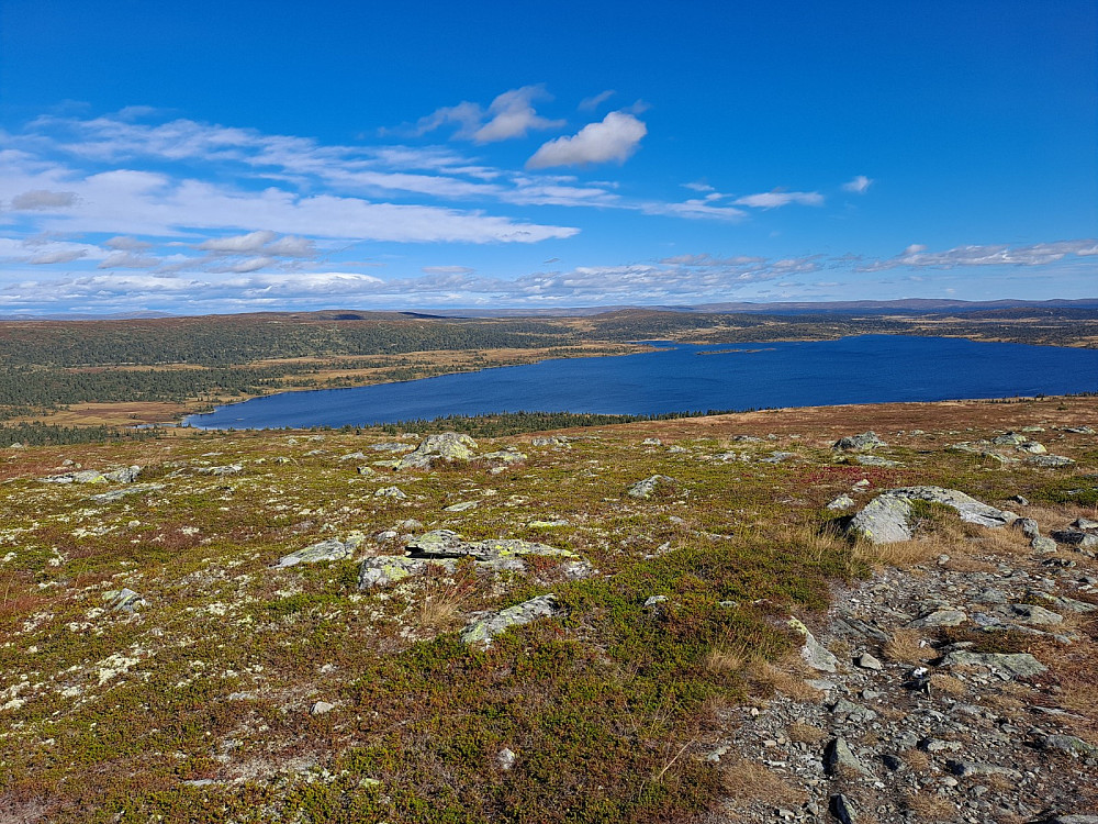 Reinsvatnet
