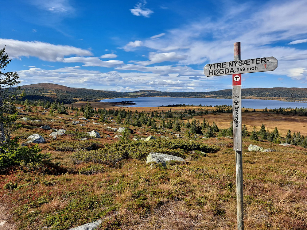 På Ytre Nysætrhøgda