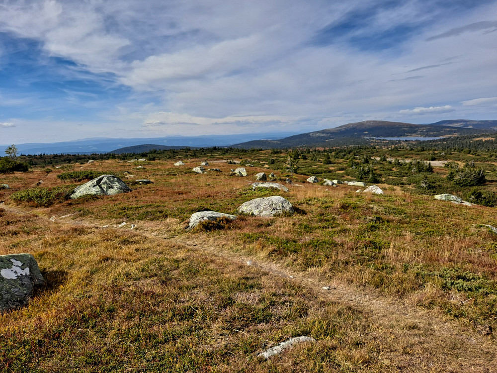 På Høgfjellet