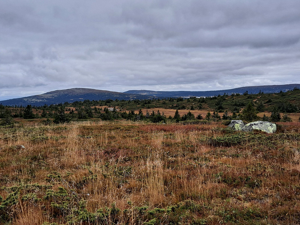 På Lunkefjell vest