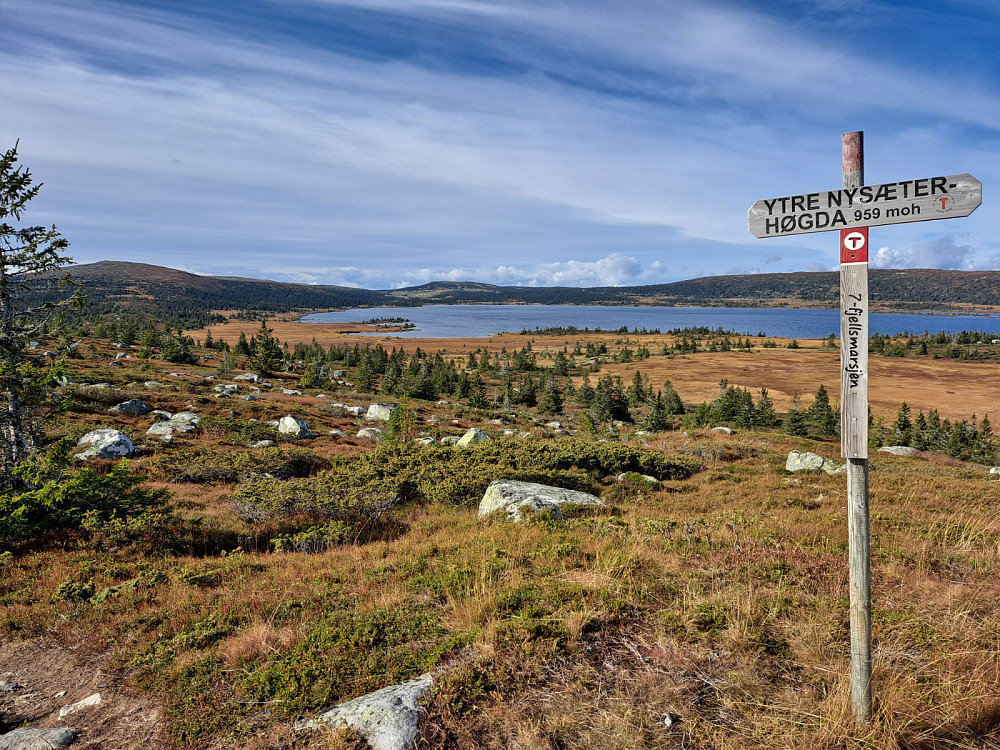 På Ytre Nysæterhøgda