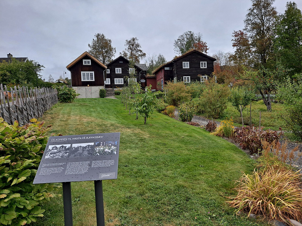 ved Bjerkebæk