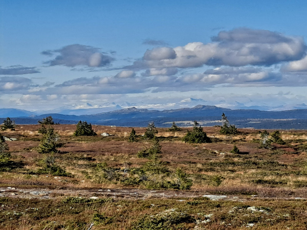 På Hafjell, kvitt i Rondane