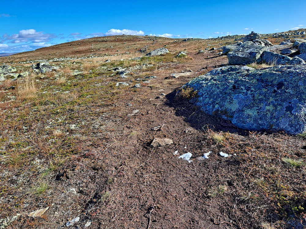 Nesten oppe på Nevelfjell, ligger igjen litt av snøen som kom i går