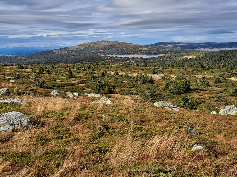 På Høgfjellet