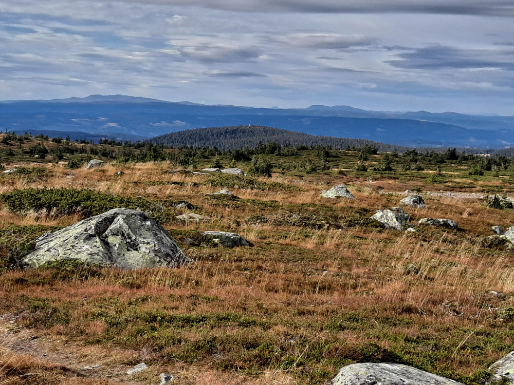 På Høgfjellet