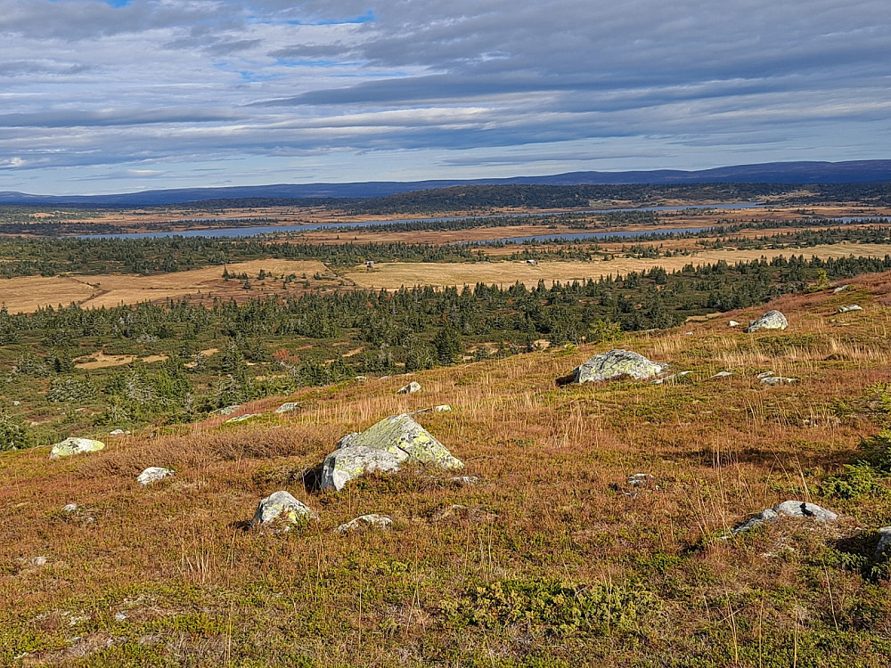 På Høgfjellet