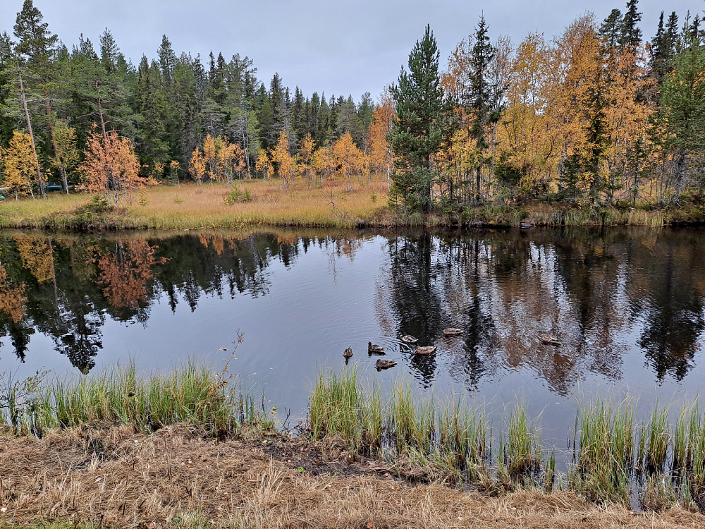 Kanalen