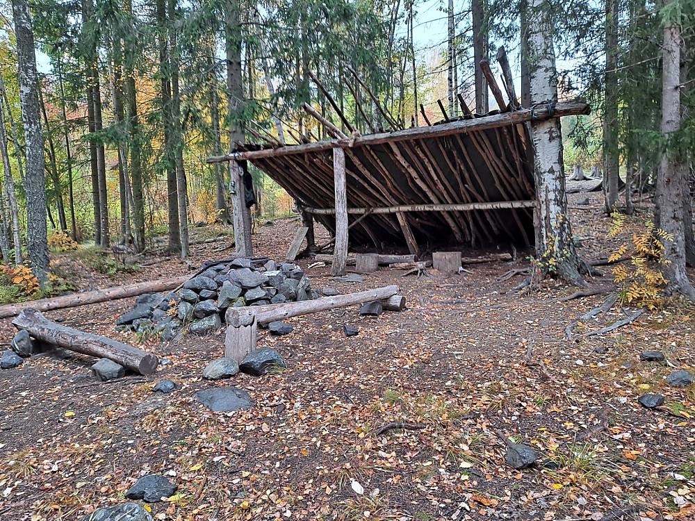 Bælaskogen gapahuk