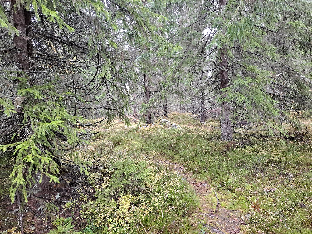 På Kanthaugen