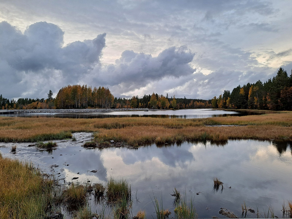 Krokflø