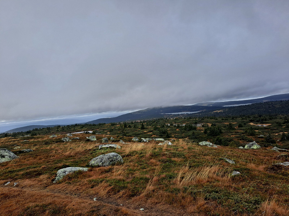 På Høgfjellet