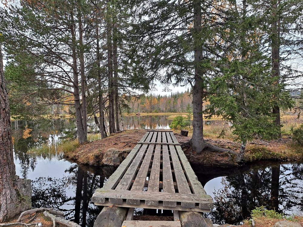 Ved Krokbua