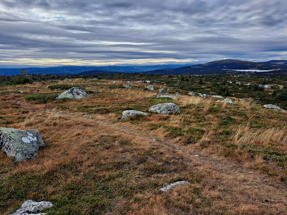 På Høgfjellet