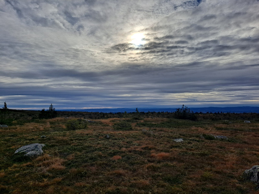 På Høgfjellet