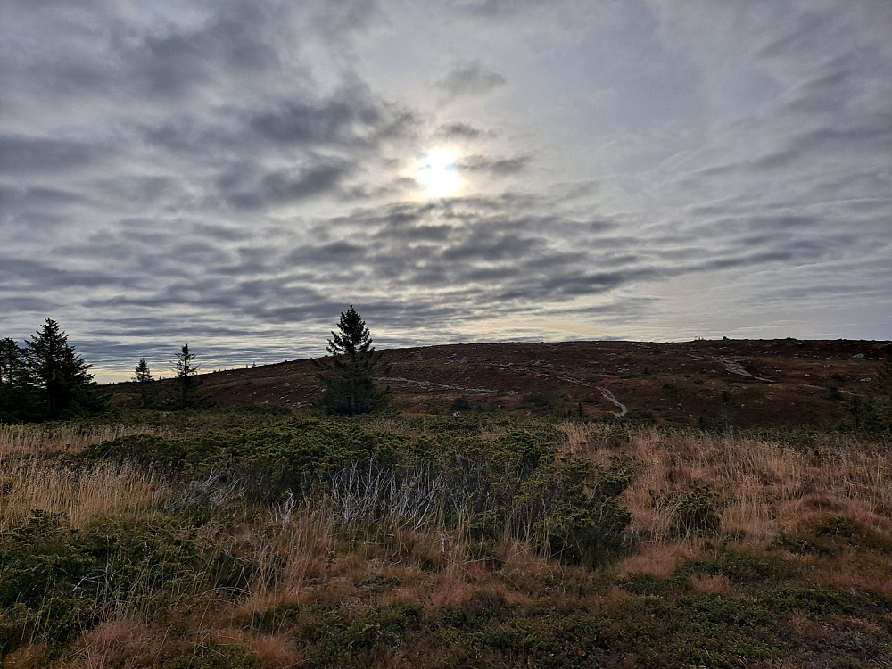 Mot Lunkefjell
