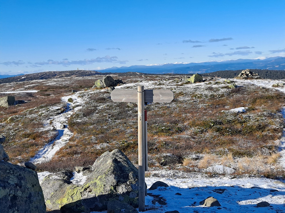 På Reinsfjellet