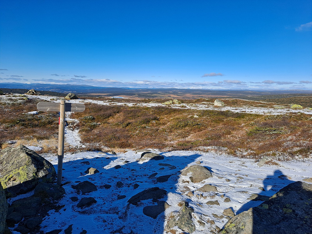 På Reinsfjellet