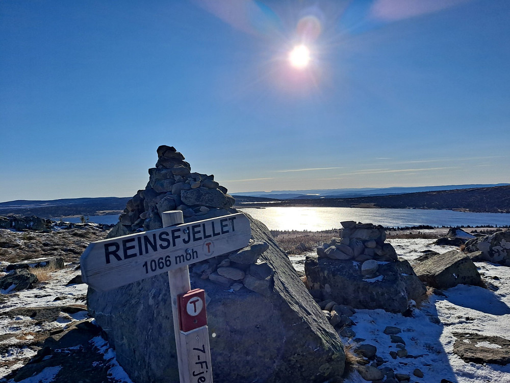 På Reinsfjellet