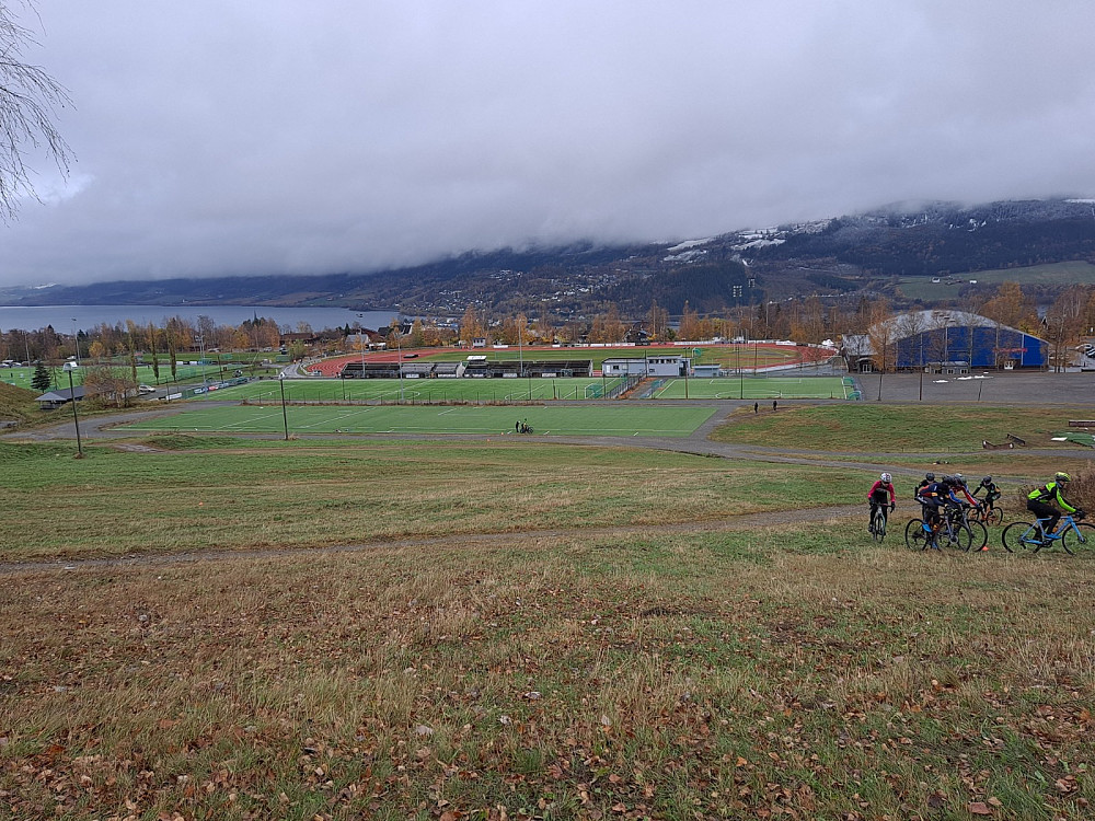Stampesletta